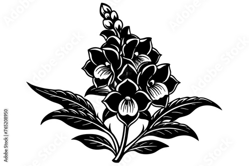 Fototapeta Naklejka Na Ścianę i Meble -  Snapdragon Flower silhouette  vector art illustration