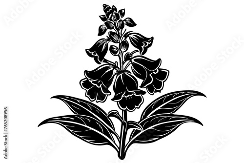 Snapdragon Flower silhouette  vector art illustration