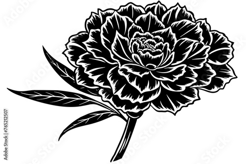 Carnation Flower silhouette vector art illustration
