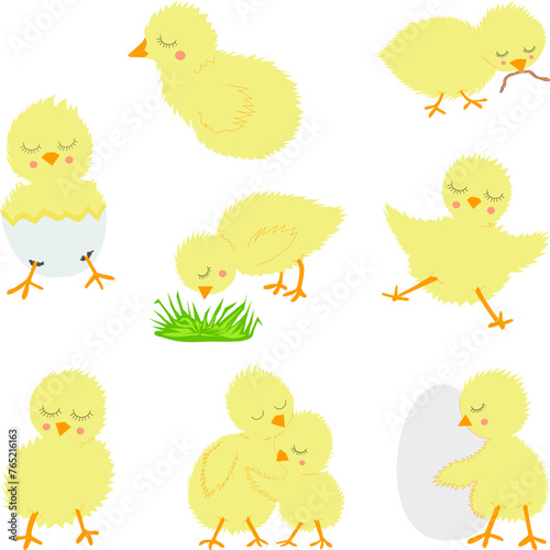 Various young yellow chicks, funny cute characters, Easter animals set isolated on white background