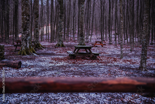 Paesaggio di montagna tra alberi alti, foglie arancioni e neve con panchina e tavolo da pic nic photo
