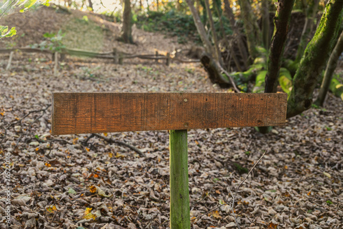Wooden Signboard in Autumn Forest