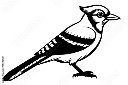 Blue Jay bird silhouette  vector art illustration
