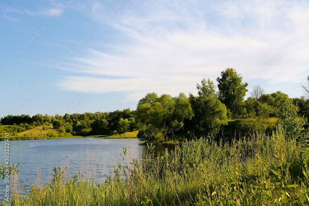 Fototapeta premium Forest lake, summer landscape with a lake under the sun