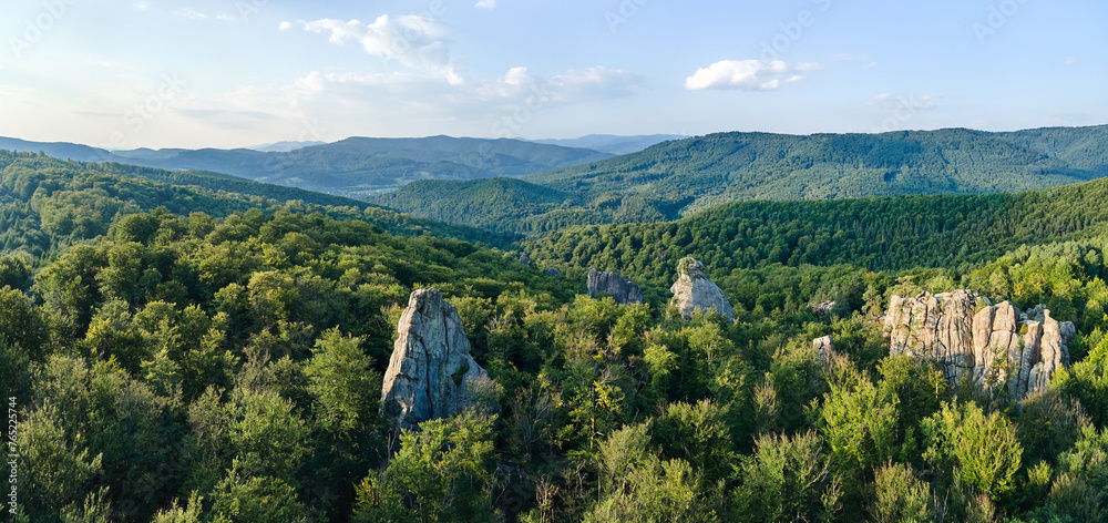 Panoramic view of bright landscape with green forest trees and big rocky boulders between dense woods in summer. Beautiful scenery of wild woodland