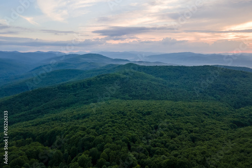 Aerial view of green pine forest with dark spruce trees covering mountain hills. Nothern woodland scenery from above