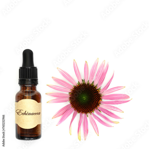 Natural echinacea alternative herbal medicine tincture bottle. Used to treat coughs colds and bronchitis with flower head on white background. 