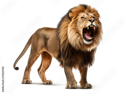 A majestic lion roaring isolated on white background cutout   reated with Generative Ai