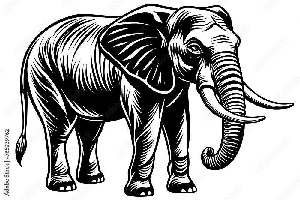 Elephant silhouette  vector art illustration