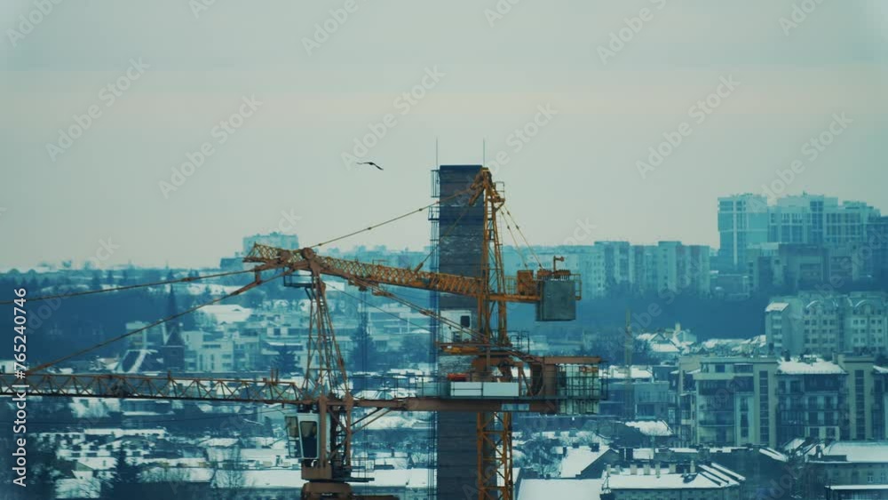 A bird soaring in the chilly sky, a cityscape shows construction cranes towering over snow-dusted buildings. A bird soaring in the chilly sky, a cityscape shows construction cranes towering over snow-dusted buildings.