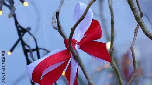 Martisor or Martenitsa. Cultural symbol of the beginning of spring in Romania, Moldova and Bulgaria.