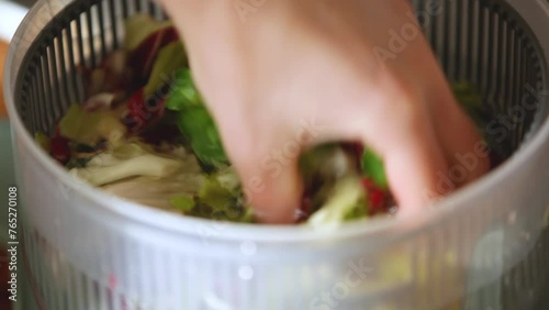 Woman washing salad leaves in centrifuge spinner.  Healthy lunch preparation in kitchen at home. Keto concept. Close-up.