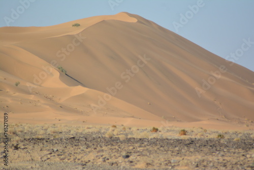 Golden Sand Dune . Desert Pakistan