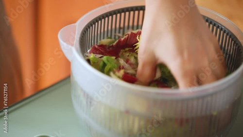 Woman washing salad leaves in centrifuge spinner.  Healthy lunch preparation in kitchen at home. Keto concept. Close-up.