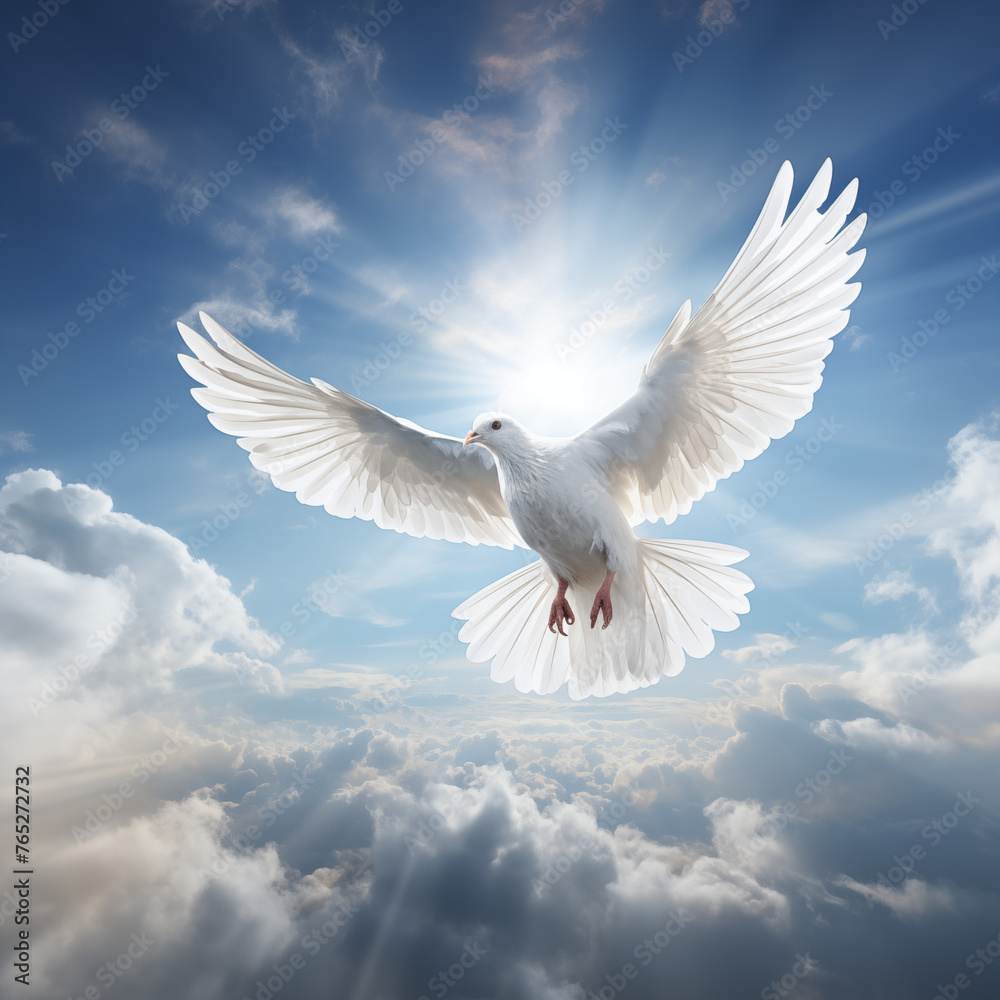 White dove of peace flying loftily in a sky illuminated by sunlight, clouds below, epitomizing hope, purity, and spiritual journey.