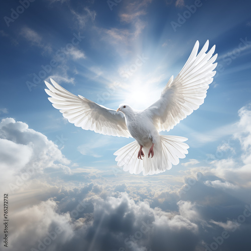 White dove of peace flying loftily in a sky illuminated by sunlight  clouds below  epitomizing hope  purity  and spiritual journey.