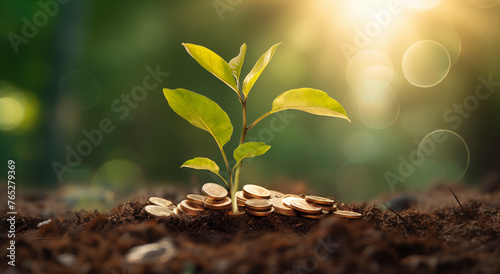 Konzept Kapitalwachstum  Pflanzen sprie  en aus Geldm  nzen  Zuwachs des Verm  gens  Rendite