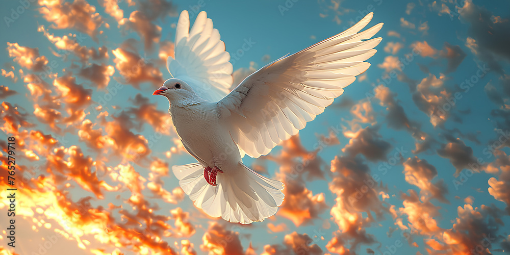 white swan in flight, Pentecost Sunday. Flying white dove in fire background white swan in flight, Pentecost Sunday. Flying white dove in fire background