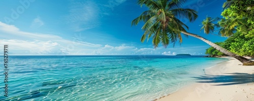 A beautiful beach with a palm tree in the foreground