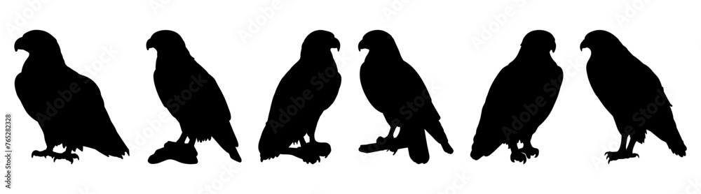 Hawk silhouette set vector design big pack of illustration and icon Hawk silhouette set vector design big pack of illustration and icon