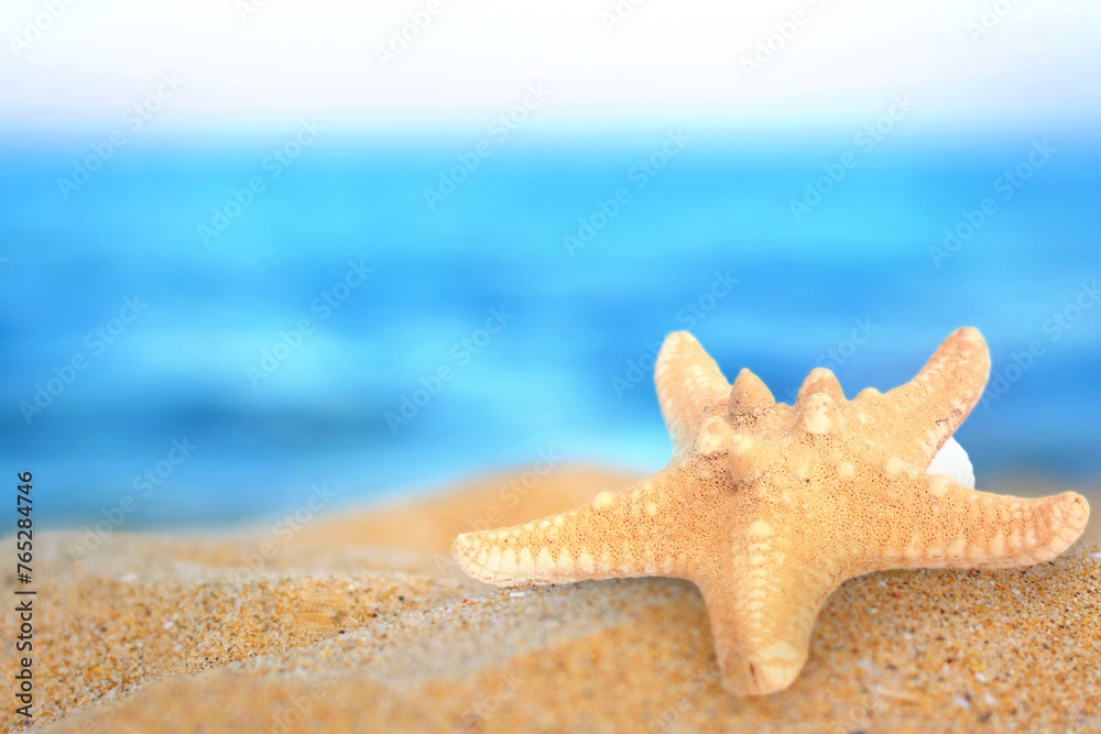 Starfish on sandy beach near sea, closeup. Space for text Starfish on sandy beach near sea, closeup. Space for text