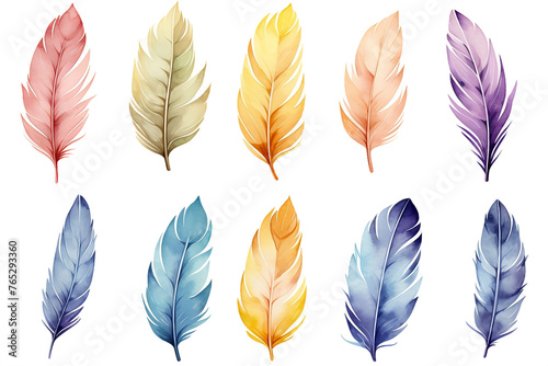 Colorful rainbow watercolor feathers, delicately isolated against a pristine white background, showcasing the vibrant beauty of nature's palette. © Stock