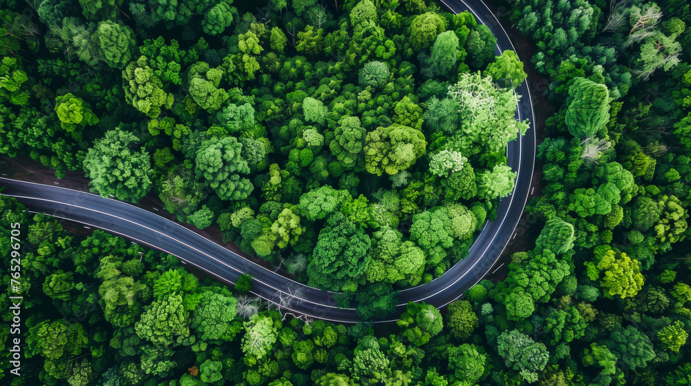 Aerial view of a road in the middle of the forest