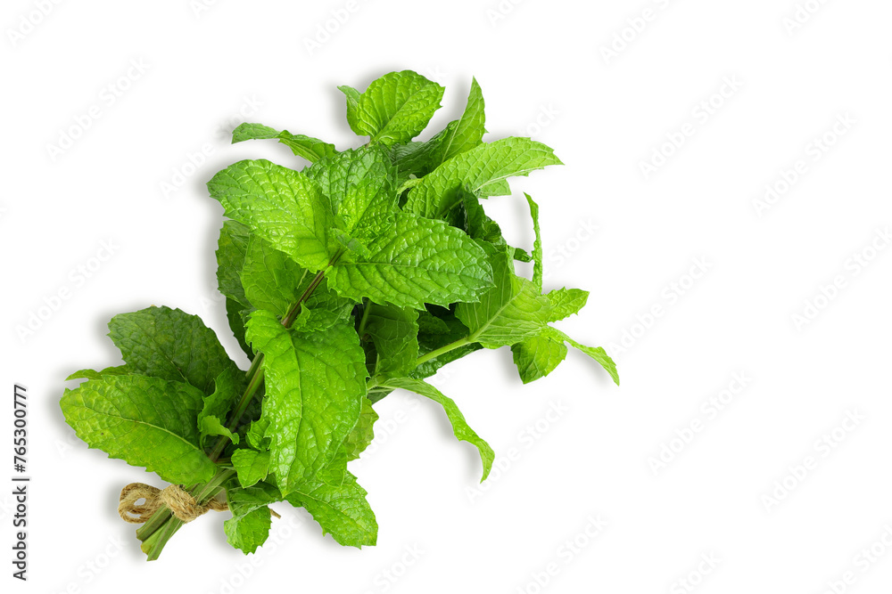 fresh green mint leaves or mentha piperita citrata herb also in india known as fudina for chutney,pani puri,masala tea,herbal chai,ayurvedic medicine,cutout transparent background,png format fresh green mint leaves or mentha piperita citrata herb also in india known as fudina for chutney,pani puri,masala tea,herbal chai,ayurvedic medicine,cutout transparent background,png format