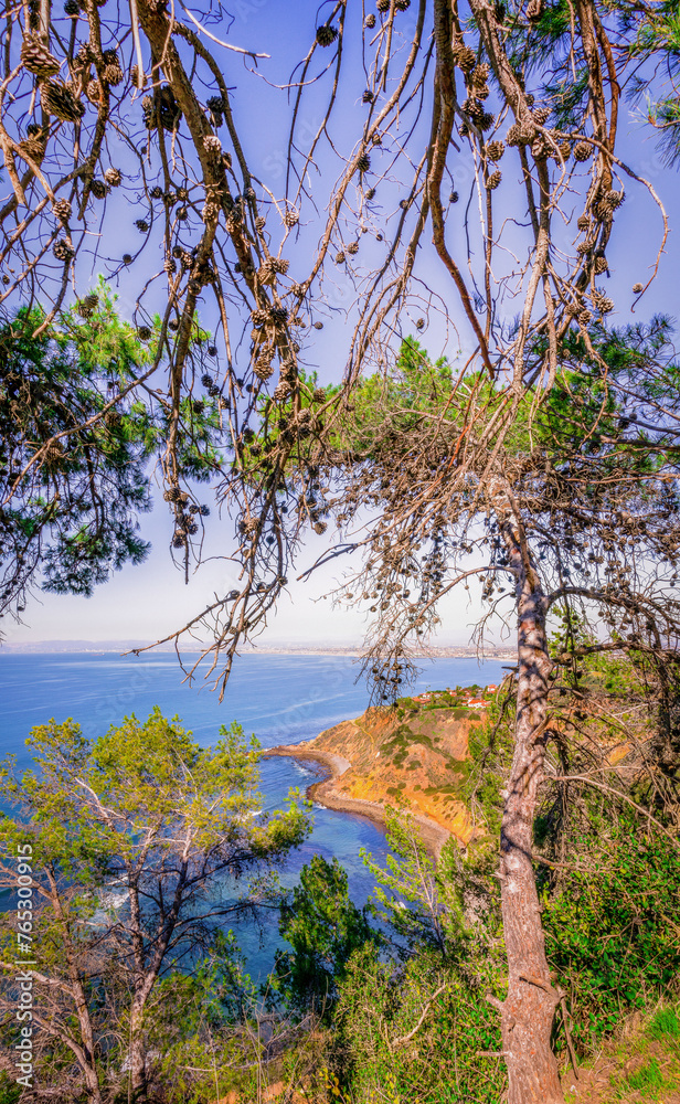 trees and sea view