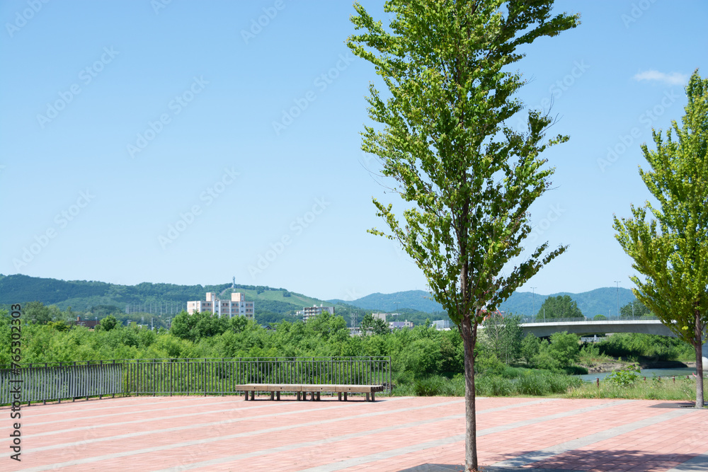 Fototapeta premium 初夏の青空 