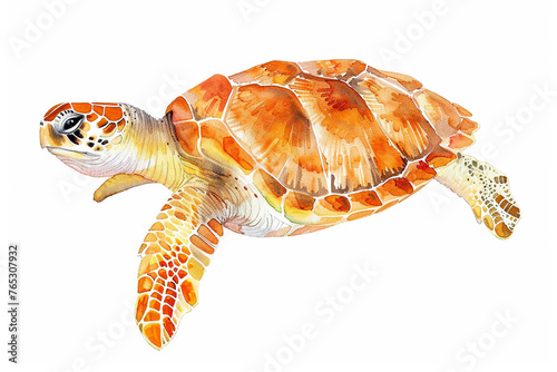 A Loggerhead sea turtle cute hand draw watercolor white background. Cute animal vocabulary for kindergarten children.