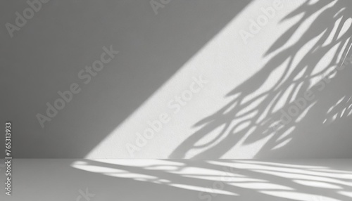 a light gray wall with a smooth floor and a beautiful openwork shadow minimalistic background for presentation photo