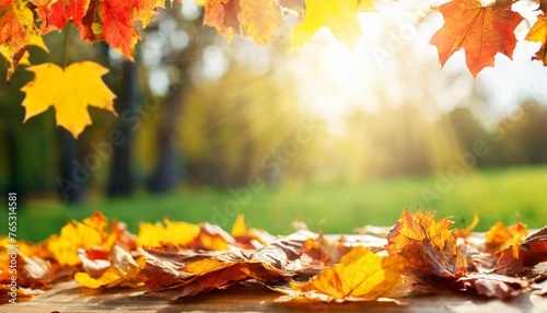 beautiful autumn background with yellow orange and red falling leaves bokeh and sunshine banner with free place for text