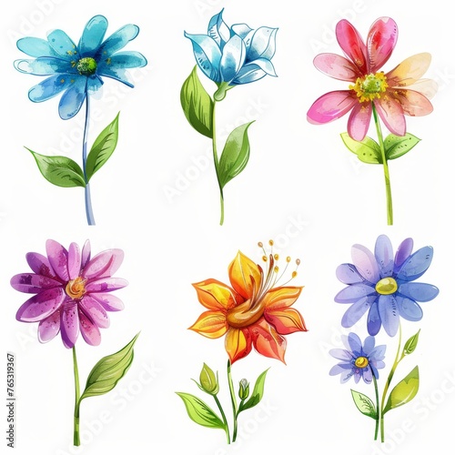 set of flowers hand drawn with watercolors