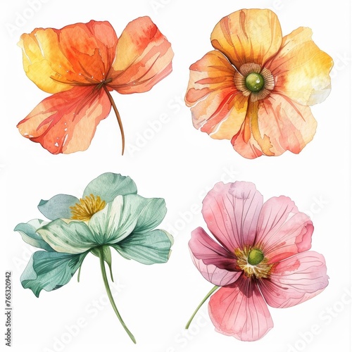 set of flowers hand drawn with watercolors © megavectors