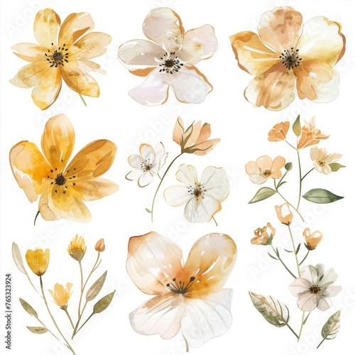 set of flowers hand drawn with watercolors