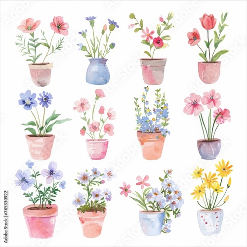 set flowers in pots soft pastel color