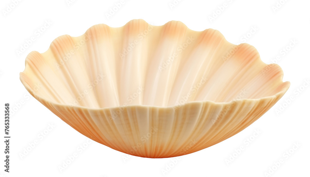 bowl seashell isolated on transparent background cutout bowl seashell isolated on transparent background cutout