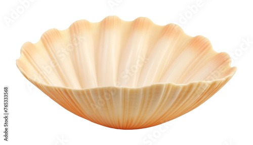 bowl seashell isolated on transparent background cutout