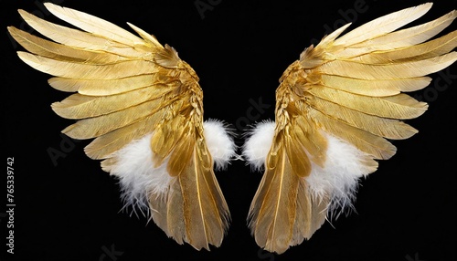 Pair of gold wings and feathers isolated on transparent background photo