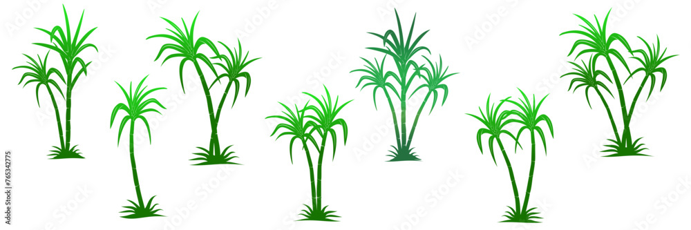 Fototapeta premium sugarcane vector 