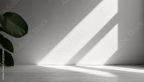 minimalistic abstract white background for product presentation with sunlight and abstract shadow on the wall