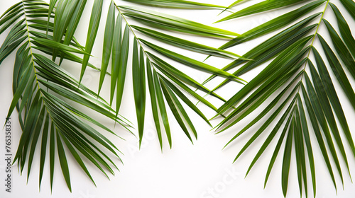 Tropical plant frame top view background for travel guide illustration design