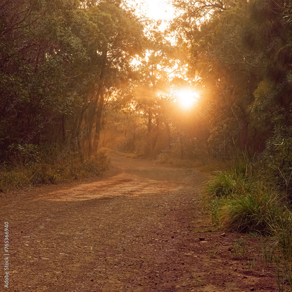 Obraz premium Voie vers Dumbéa rivière