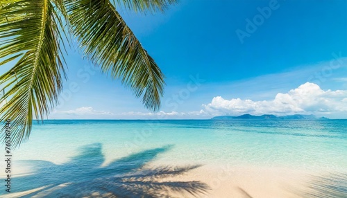 top view of water surface with tropical leaf shadow shadow of palm leaves on white sand beach beautiful abstract background concept banner for summer vacation at the beach