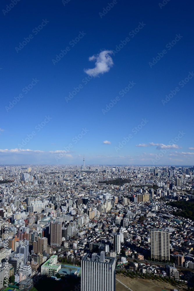 Fototapeta premium 晴れた日に高層ビルの展望室から東京都内を撮影。