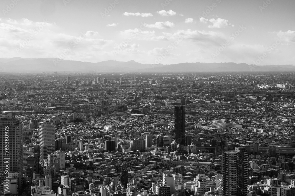 Fototapeta premium 高層ビルから東京都内のビル群をモノクロームで撮影