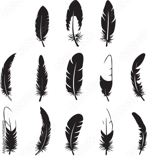 Set of black silhouettes feather icons 