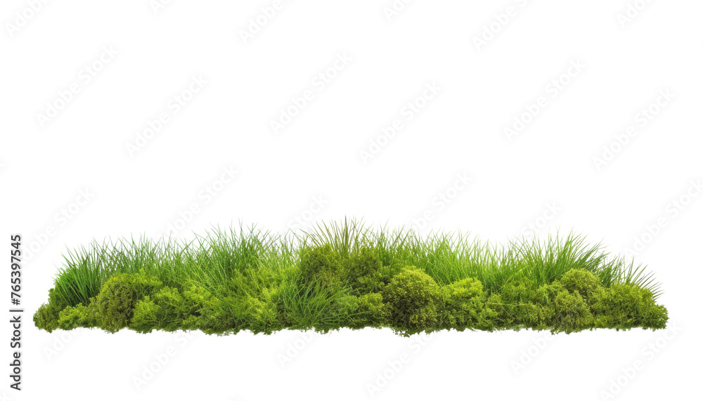 green grass isolated on transparent background cutout
