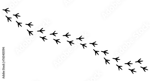 鳥の足跡　素材　シンプル　飾り　あしらい　斜め　白背景　透過 photo